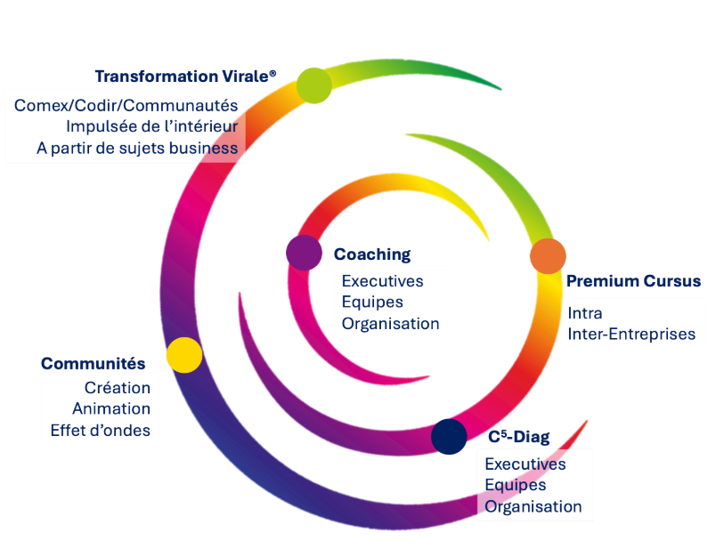 Activités ReThink & Lead — Transformation Virale, Communautés, Coaching, Premium Cursus, C⁵-Diag